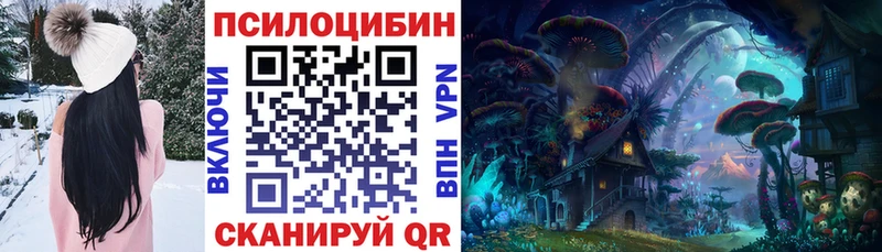 дарнет шоп  Фурманов  Псилоцибиновые грибы мицелий 
