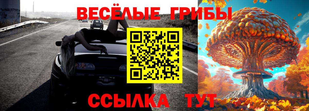 что такое   Вход с VPN  Фурманов  Галлюциногенные грибы Magic Shrooms 